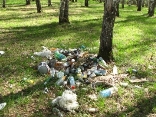 Верховна Рада в 5 разів збільшила штрафи за сміття в лісі » Слово і Діло